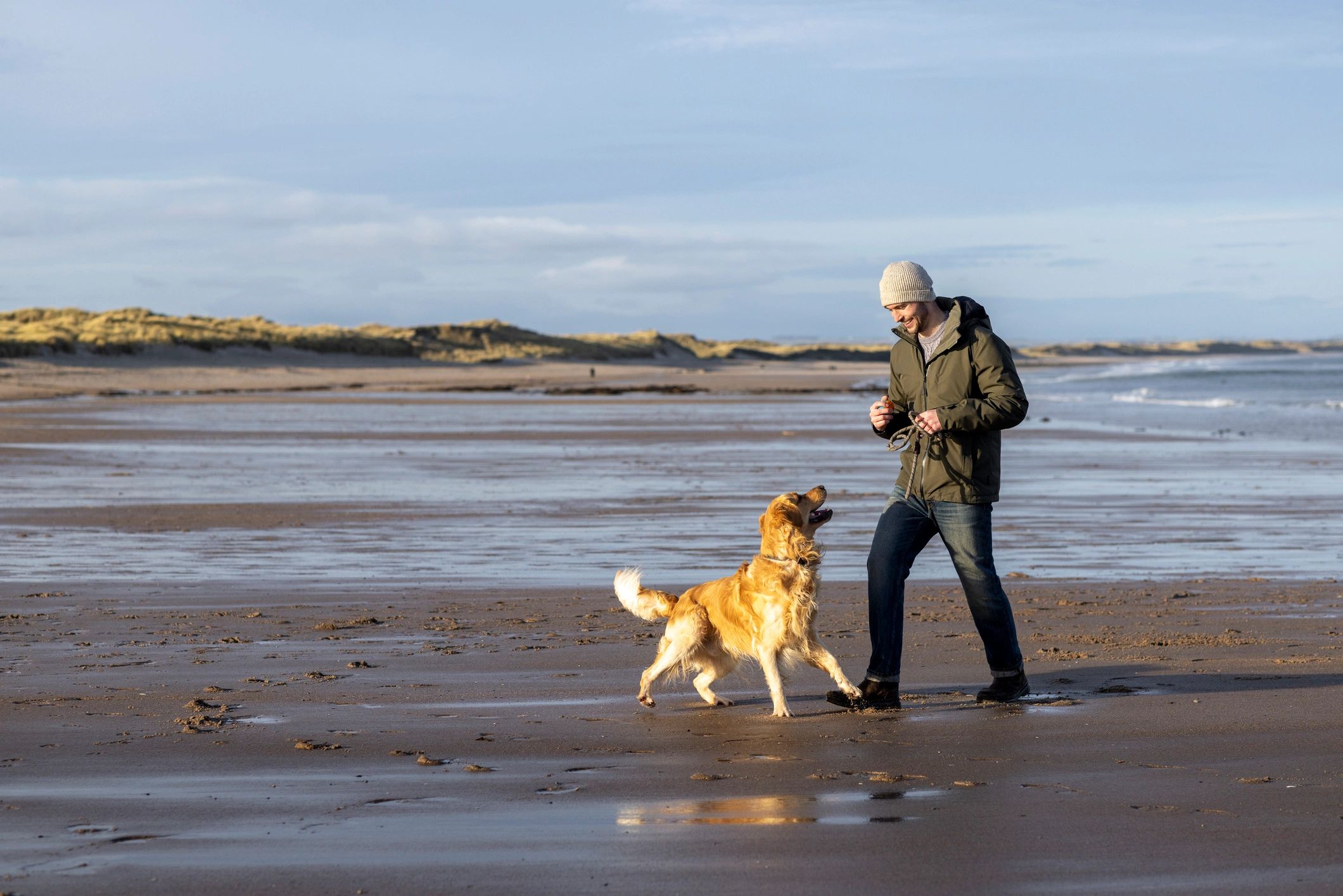 Dog-friendly travel inspiration for motorhome trips