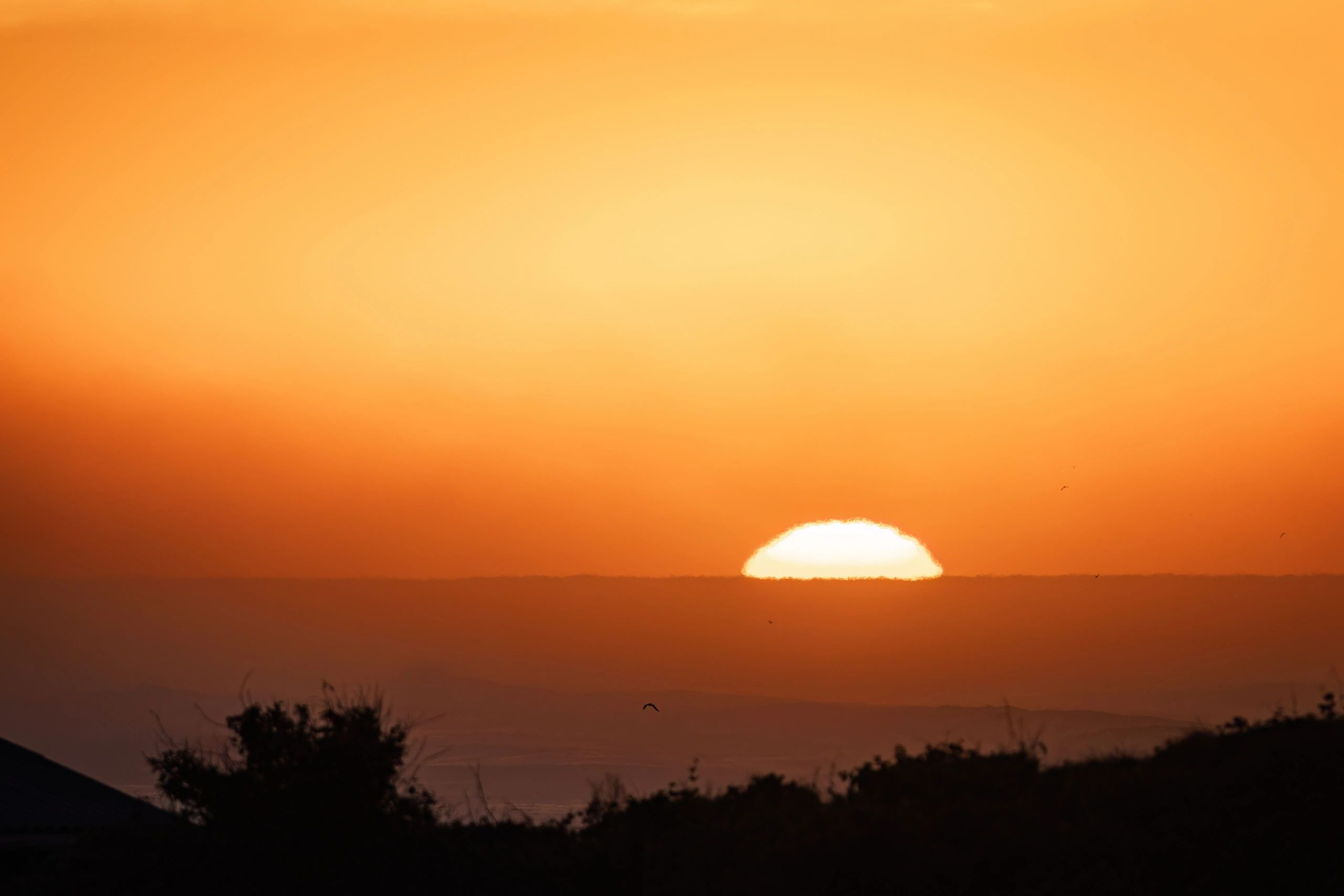 Golden sunset landscape for Roller Team Club events