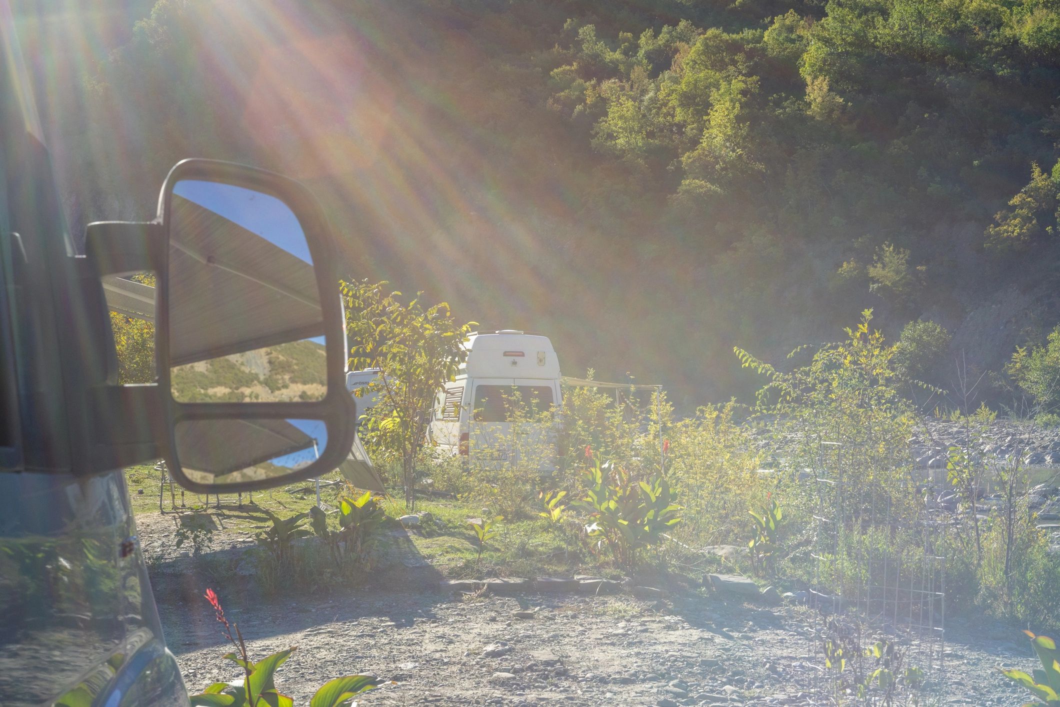 Camper vans parked in nature on a sunny day