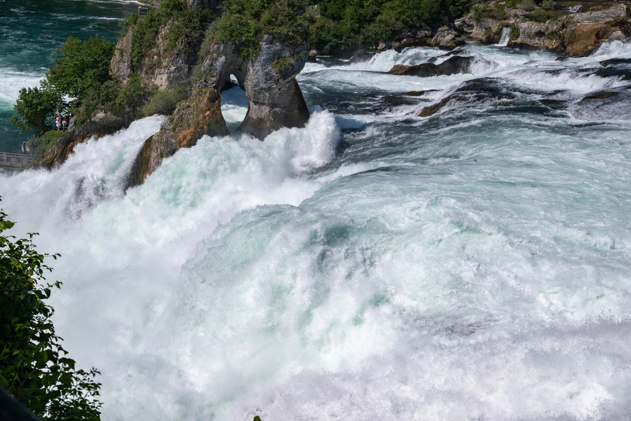Rhine falls powerful water cascading over rocks in switzerland