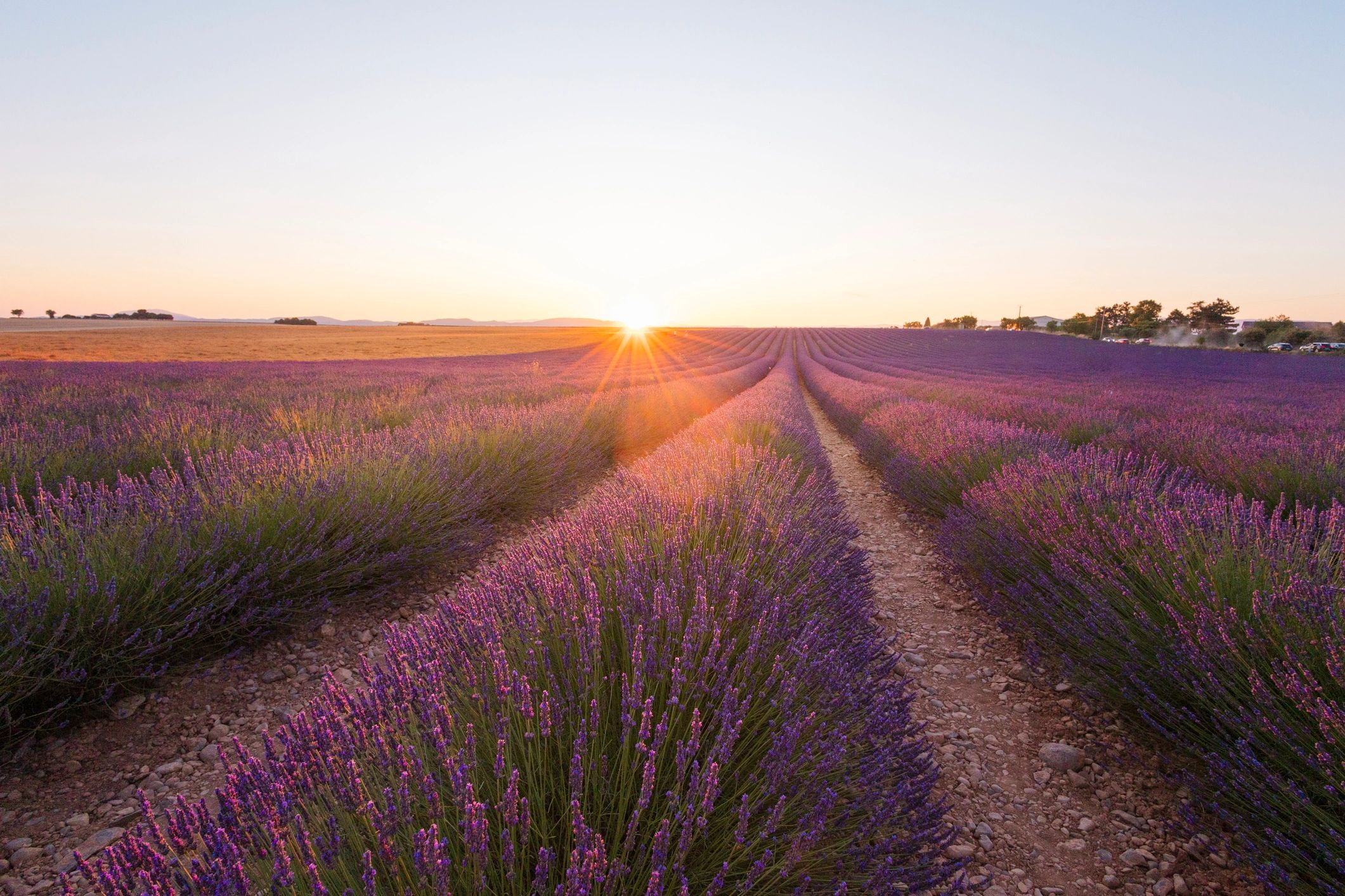 French countryside at sunset