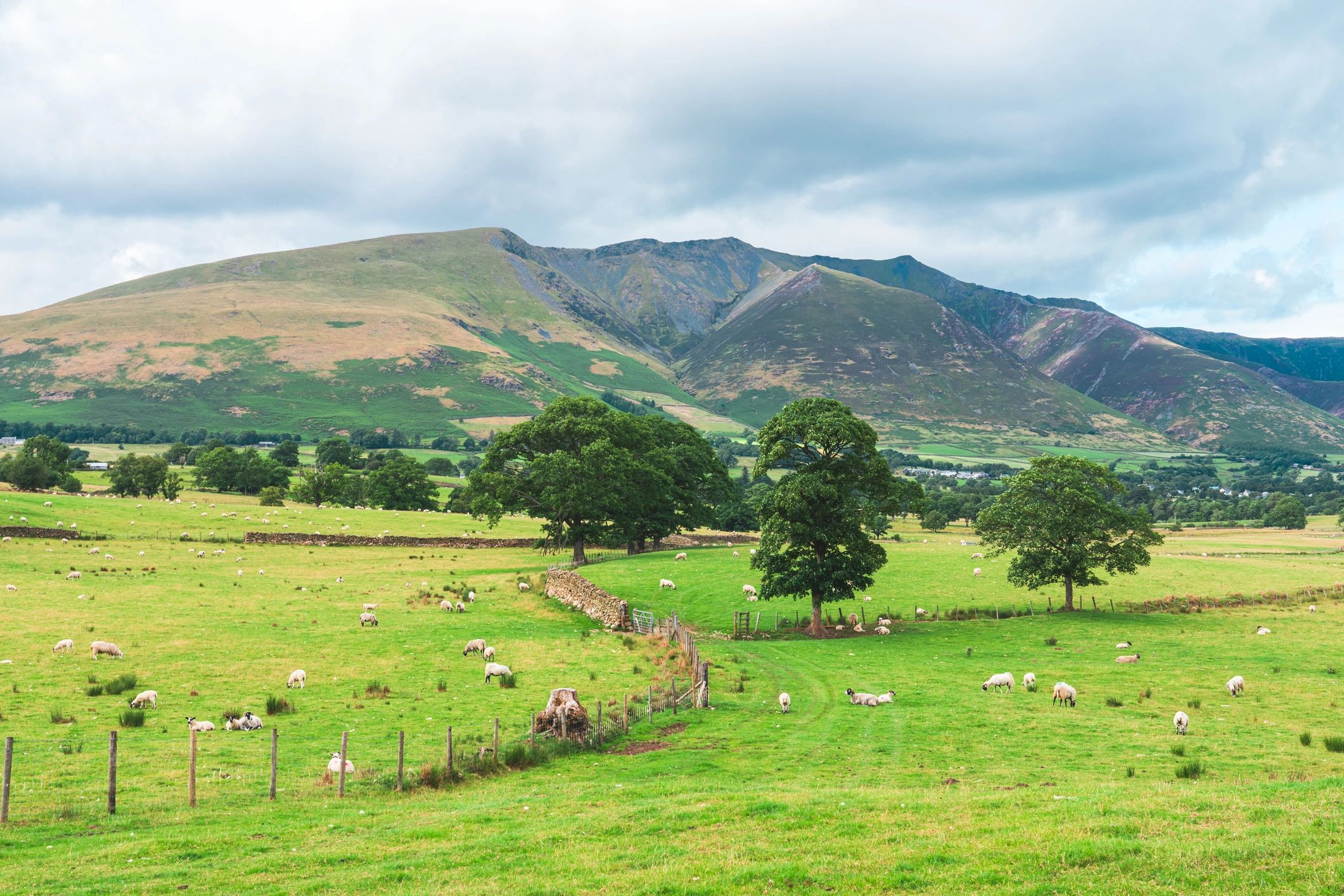 Yorkshire-style green fields and dry stone walls