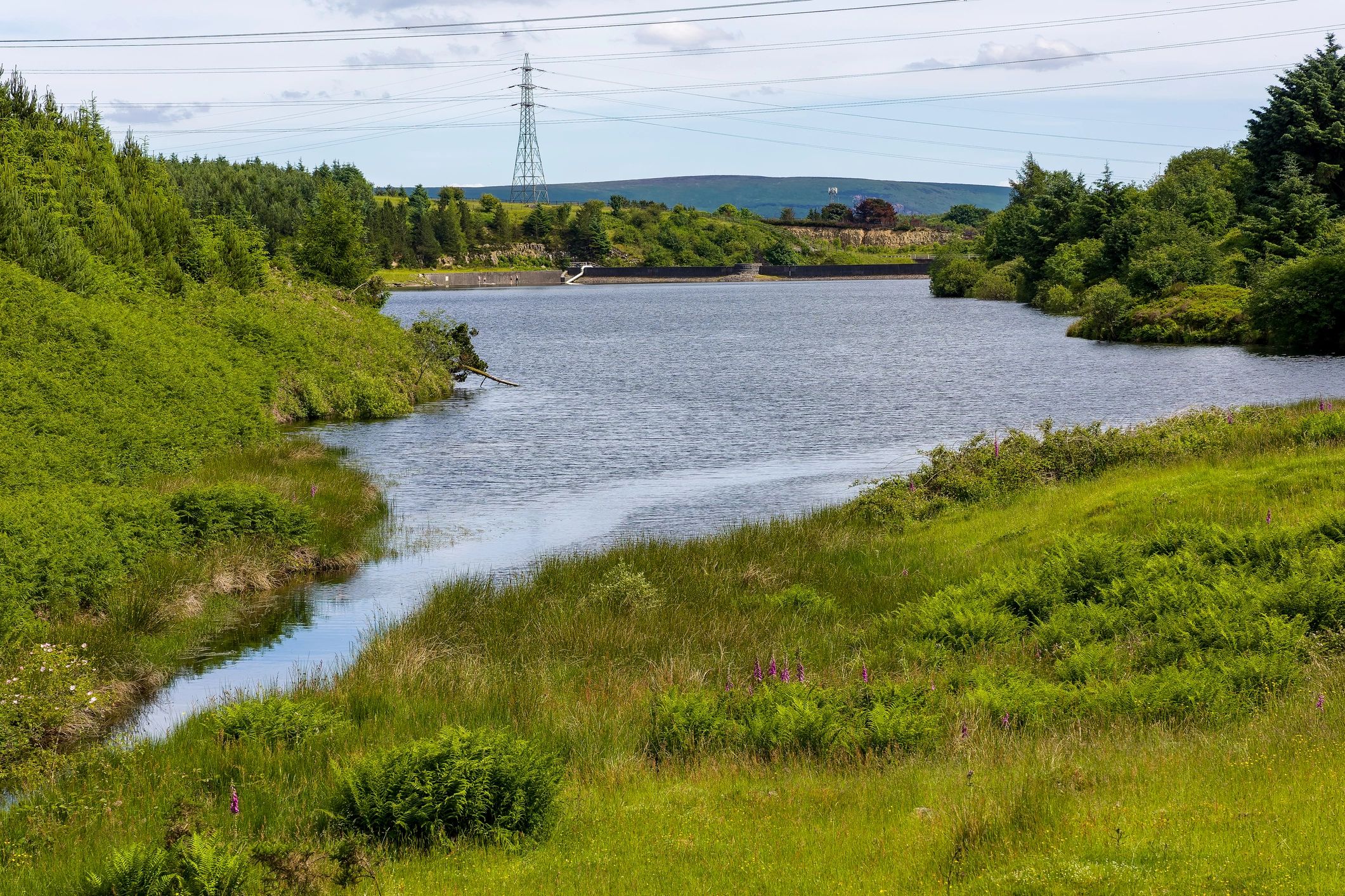Reservoir landscape in the British countryside